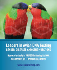 IQ BIRD TESTING blood card for multiple-bird testing and backup samples