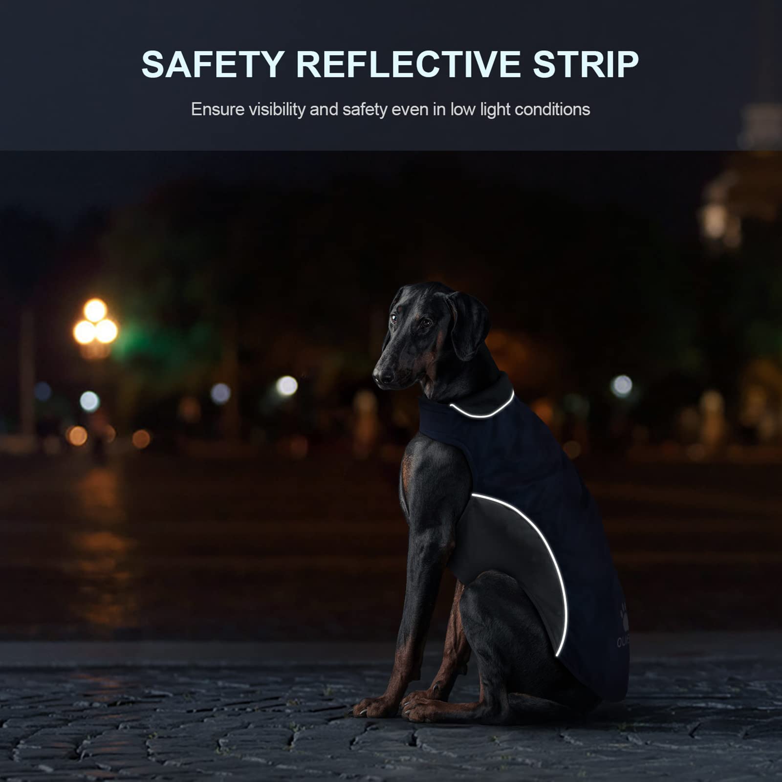 IREENUO harness hole reinforced edge for durable leash attachment
