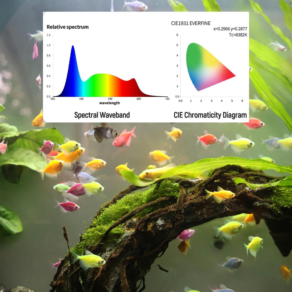 IRQWY sunrise-sunset feature simulates natural daily cycles for calmer tank ambiance