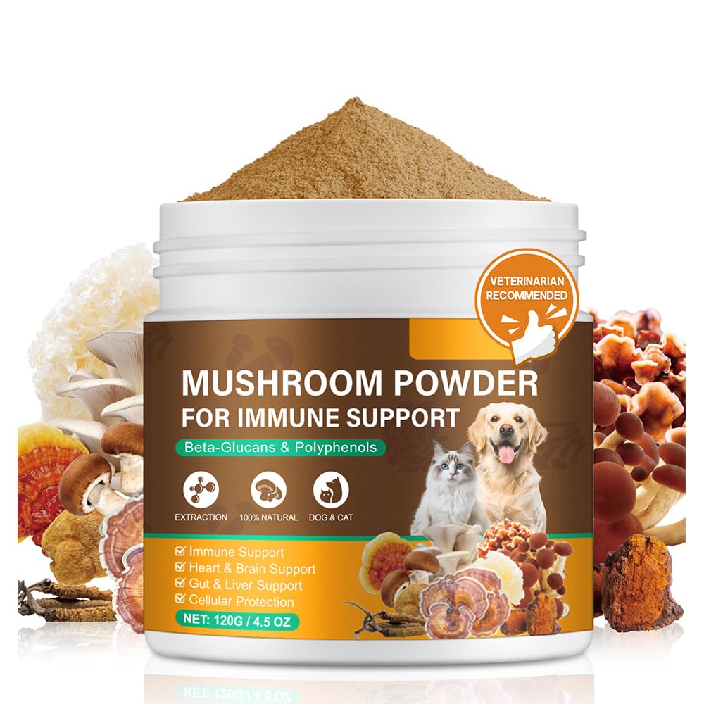 IRSRDOQU mushroom powder bacon flavor pour supports immune health