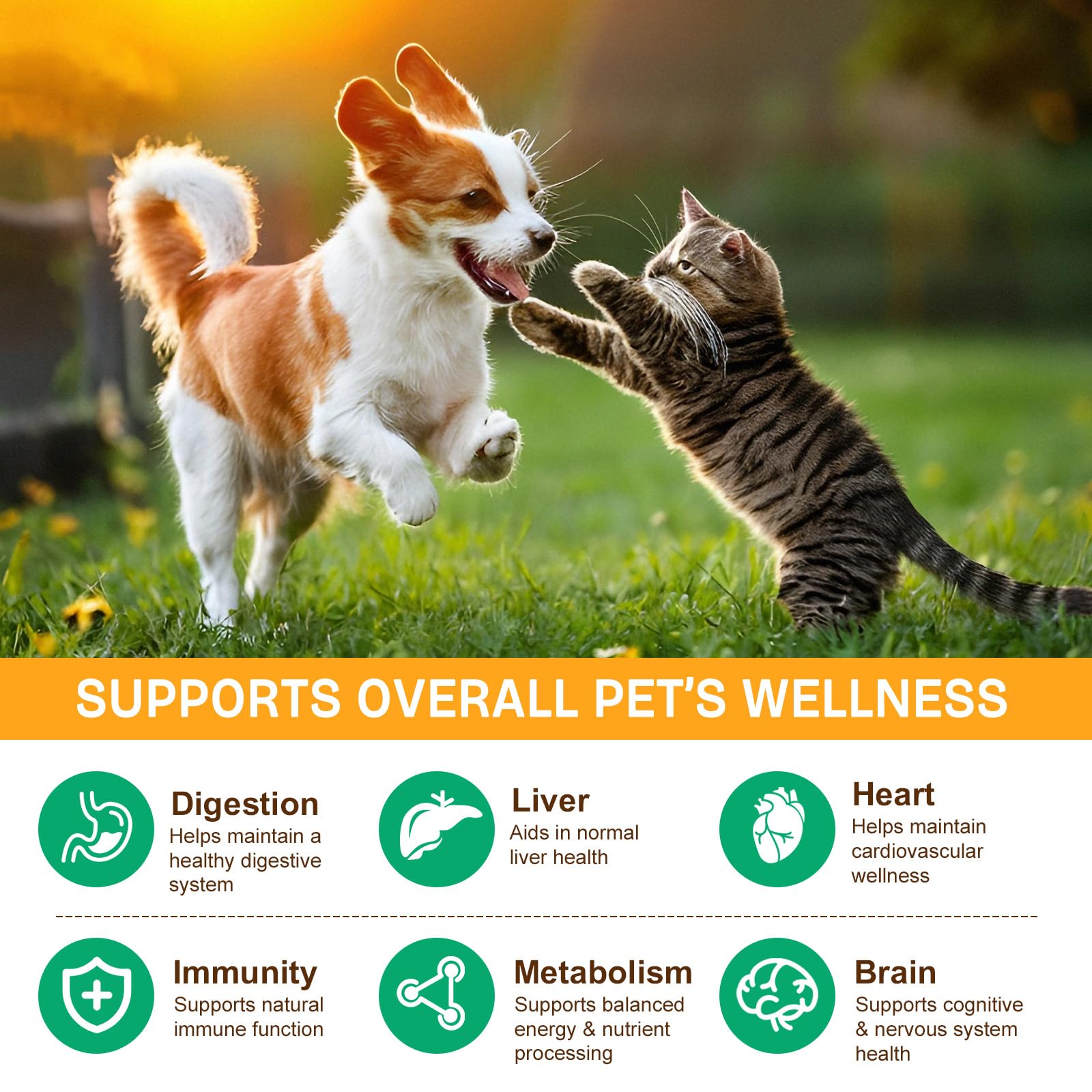 IRSRDOQU vet-formulated mushrooms bottle shows premium blend
