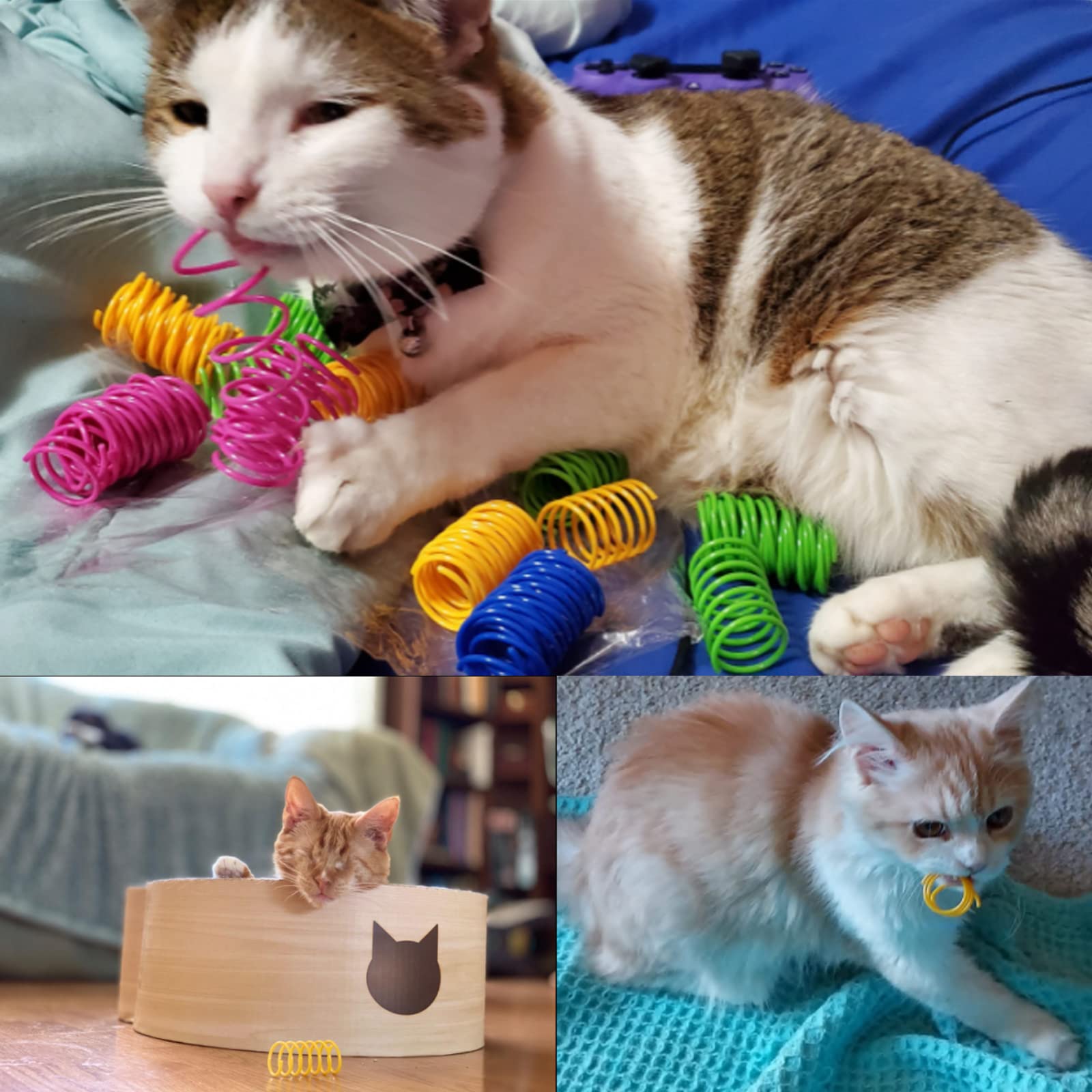 ISMARTEN cat spring toy bouncy motion entertains with unpredictable hops.