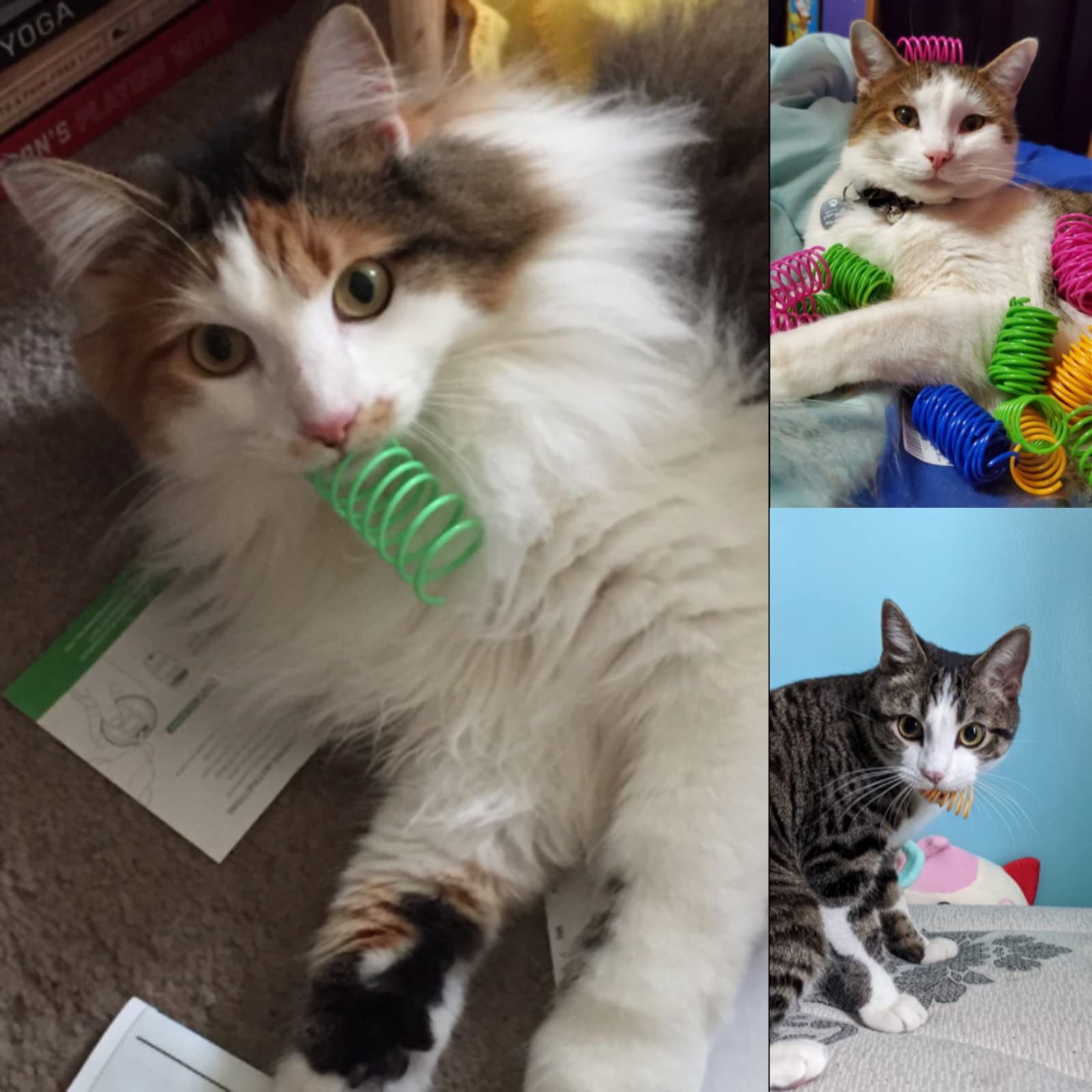 ISMARTEN cat spring toy color variety to attract attention during play.