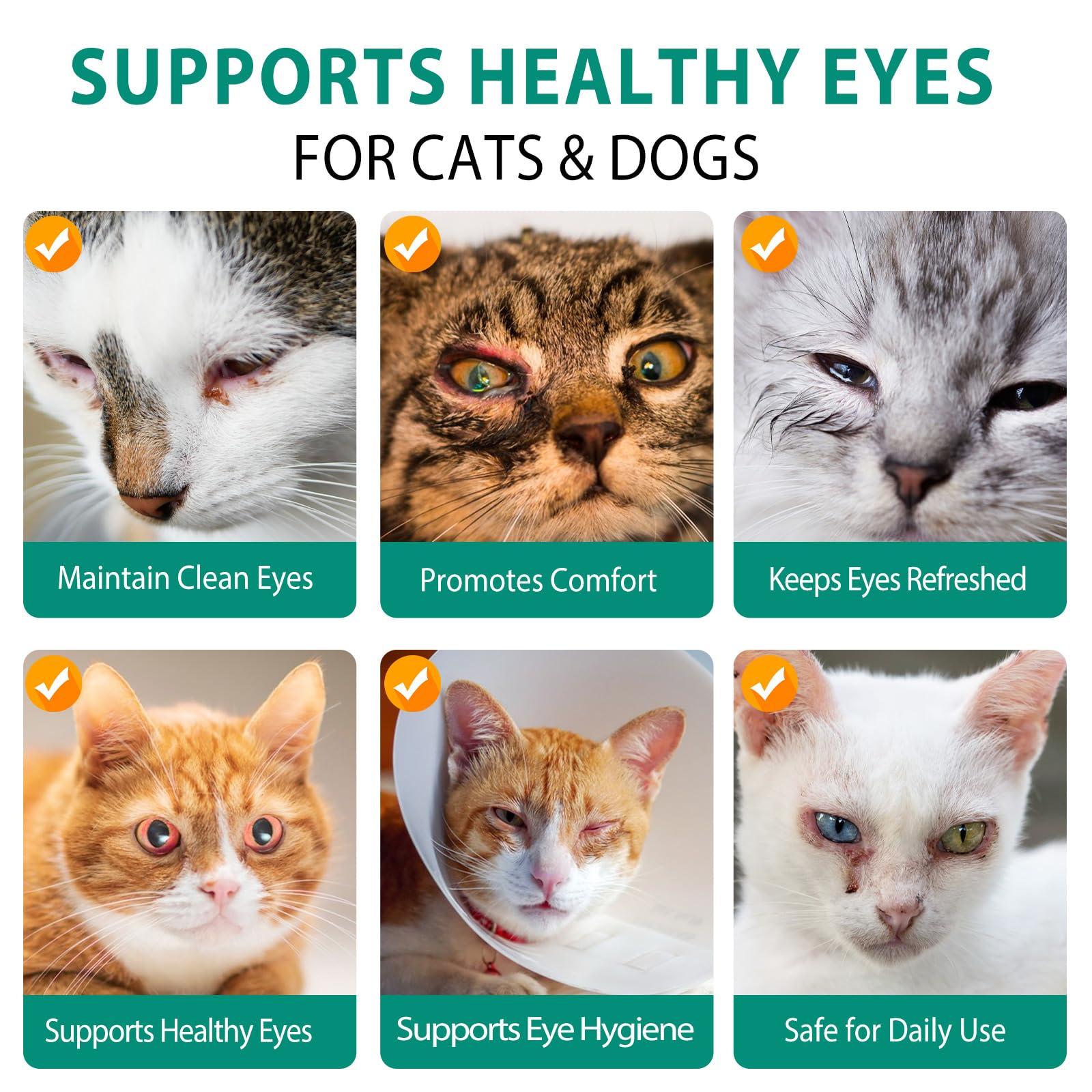 ISUNRISE safe ingredients chart highlights lick-safe formula for pets.