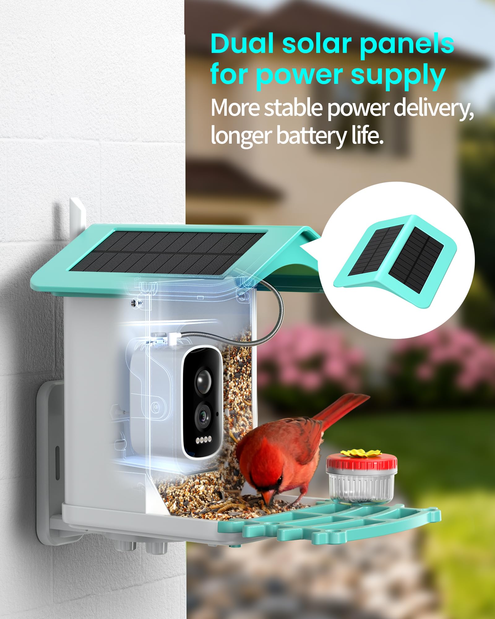 isYoung Smart Bird Feeder 2.5K HD video delivers crisp day and night footage