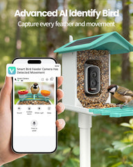 isYoung Smart Bird Feeder AI ID identifies visitors quietly for wildlife insights