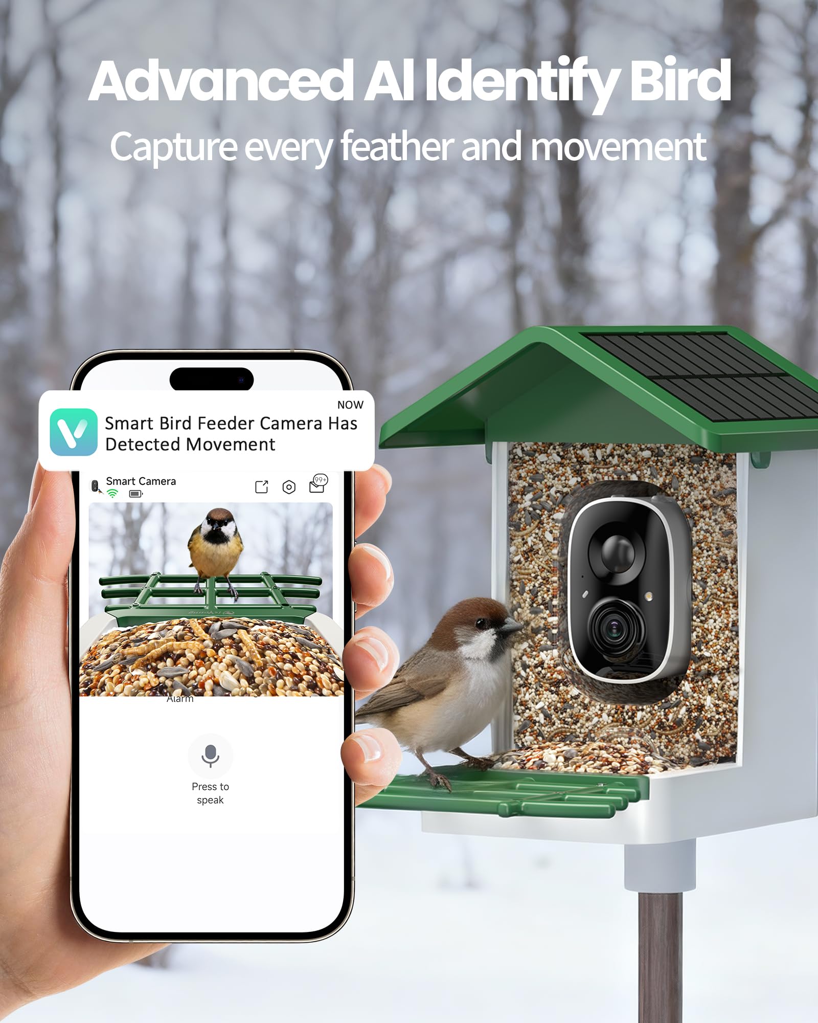 isYoung AI identification 16,000+ species highlights birds in real time.