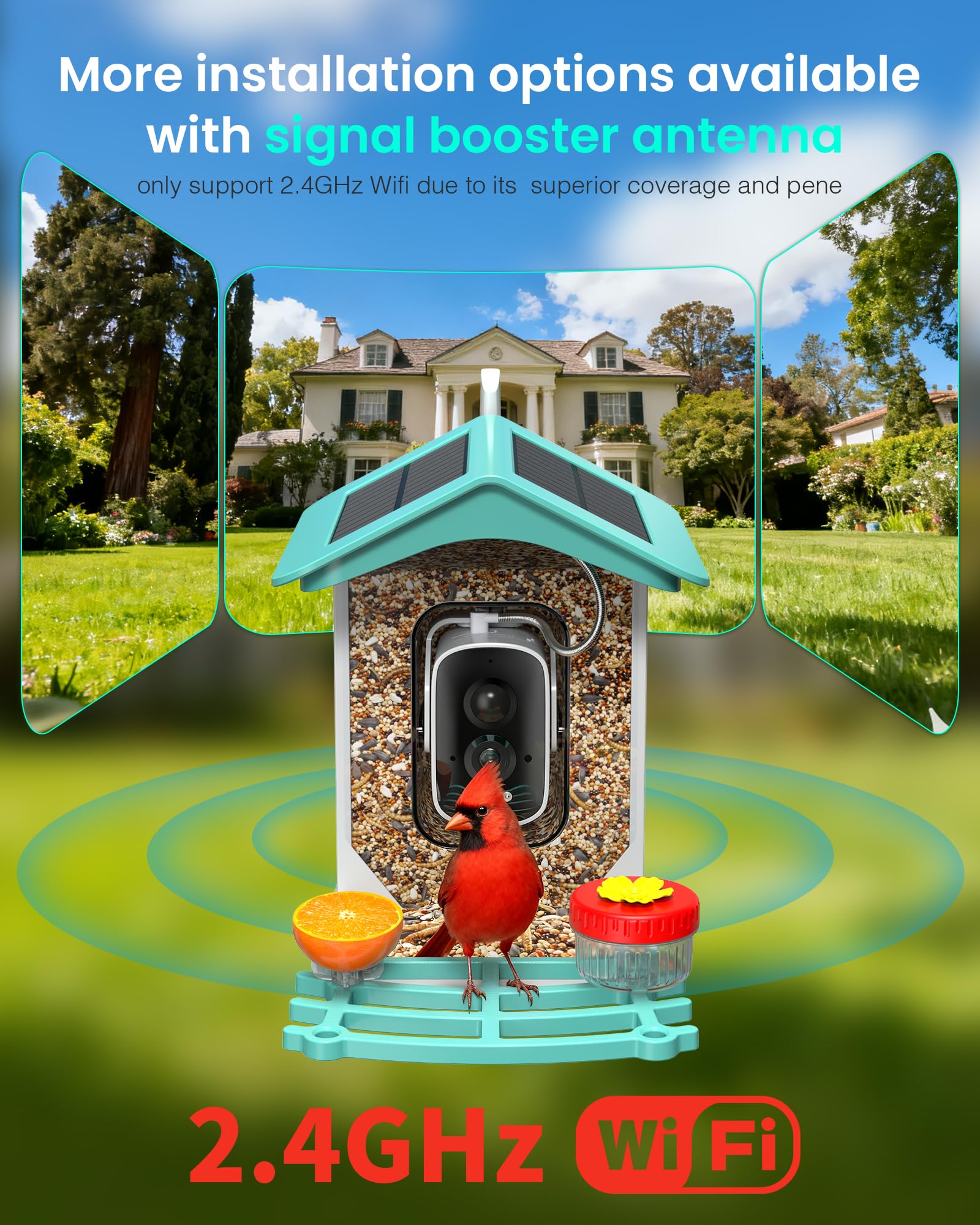 isYoung Backyard observation with AI bird ID brings wildlife joy