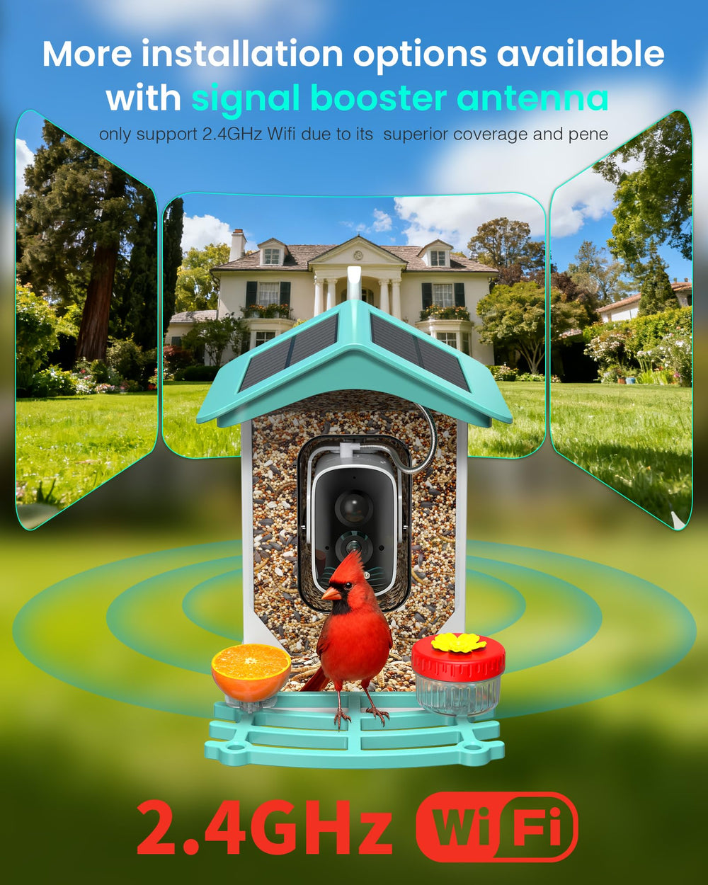 isYoung Backyard observation with AI bird ID brings wildlife joy