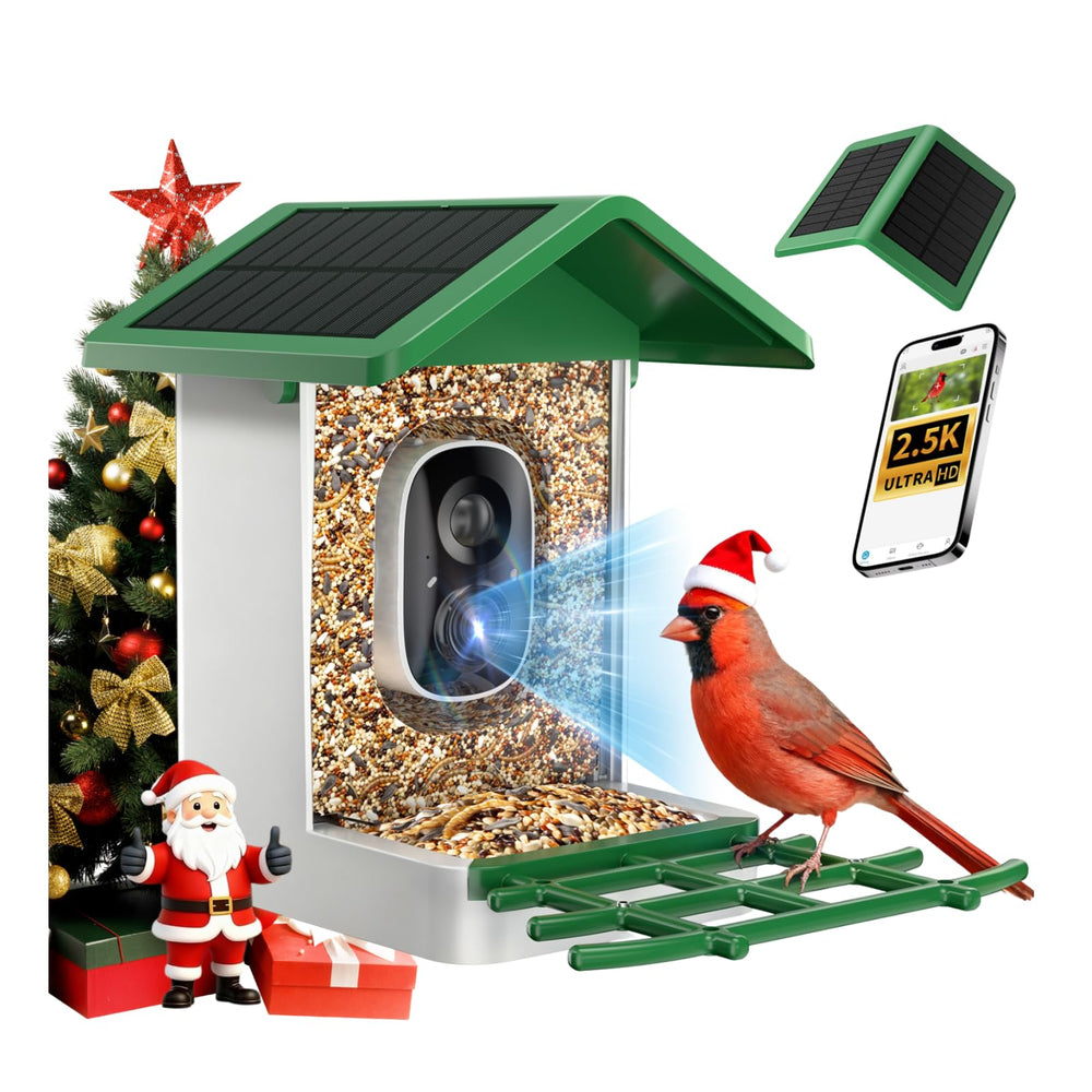 isYoung bird feeder camera 2.5K captures crisp footage for immersive bird watching.