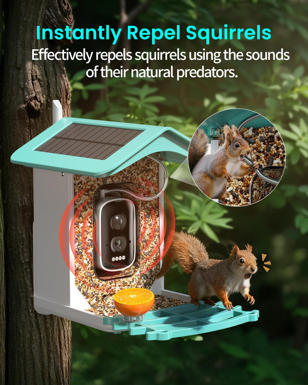 isYoung Smart Bird Feeder makes a thoughtful gift for nature lovers