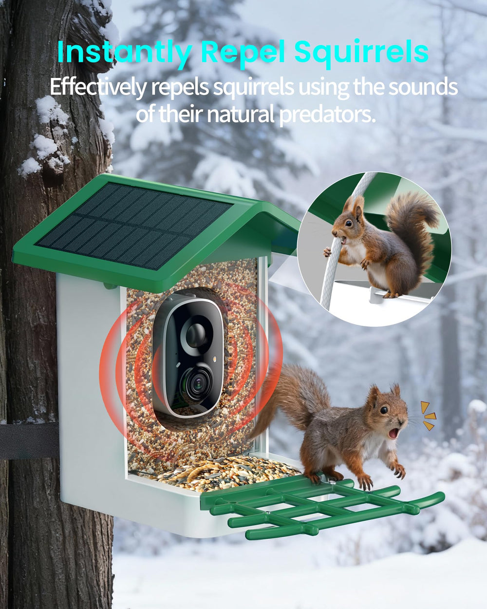isYoung infrared night vision enables clear viewing after dark.