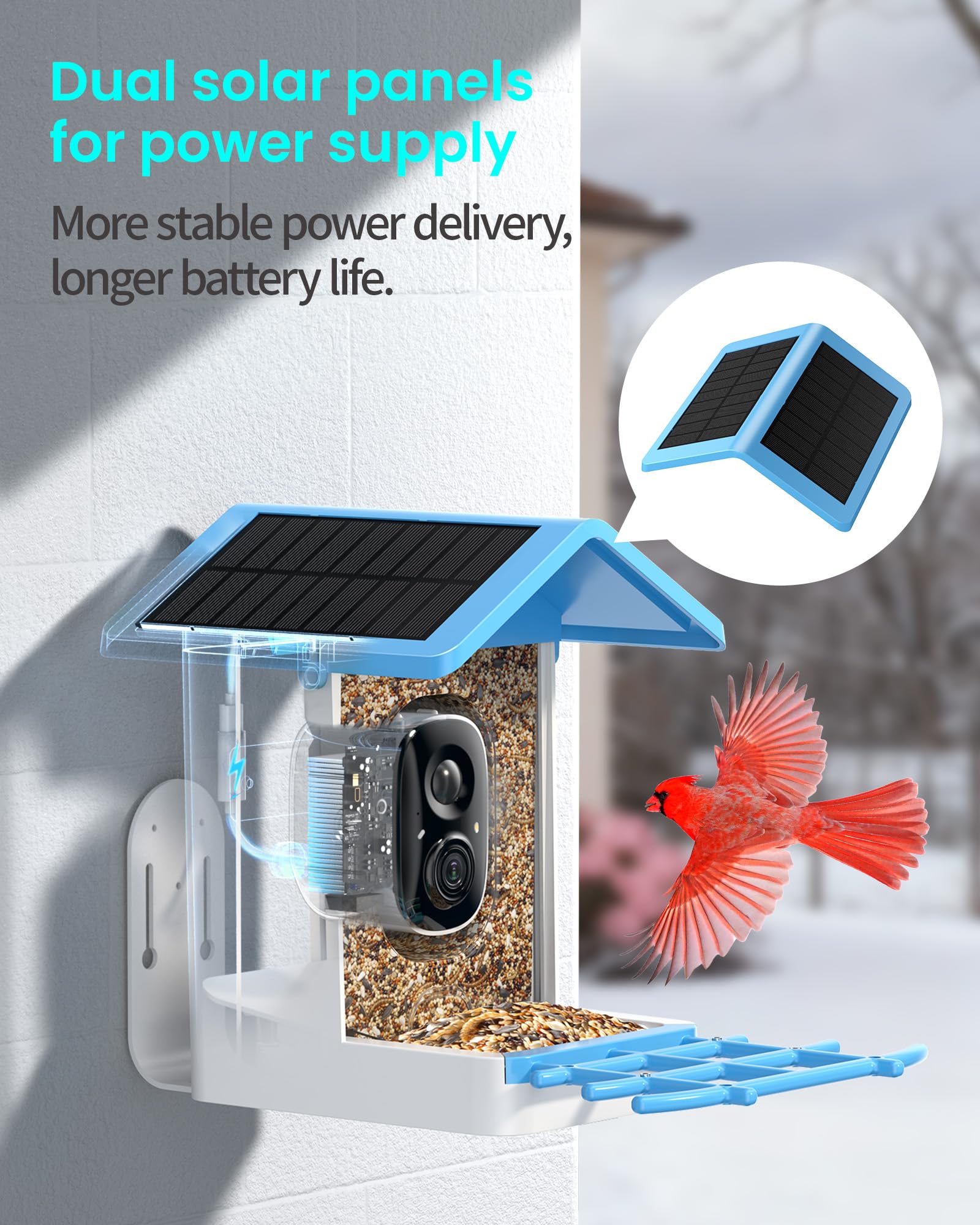 isyoung smart bird feeder ai-bird-identification enables species tagging and learning moments