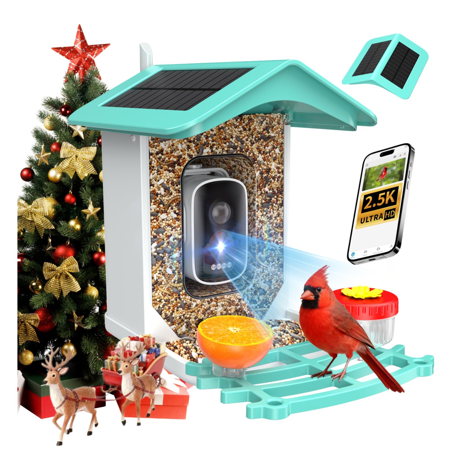 isYoung Smart Bird Feeder camera front view for immersive backyard wildlife monitoring