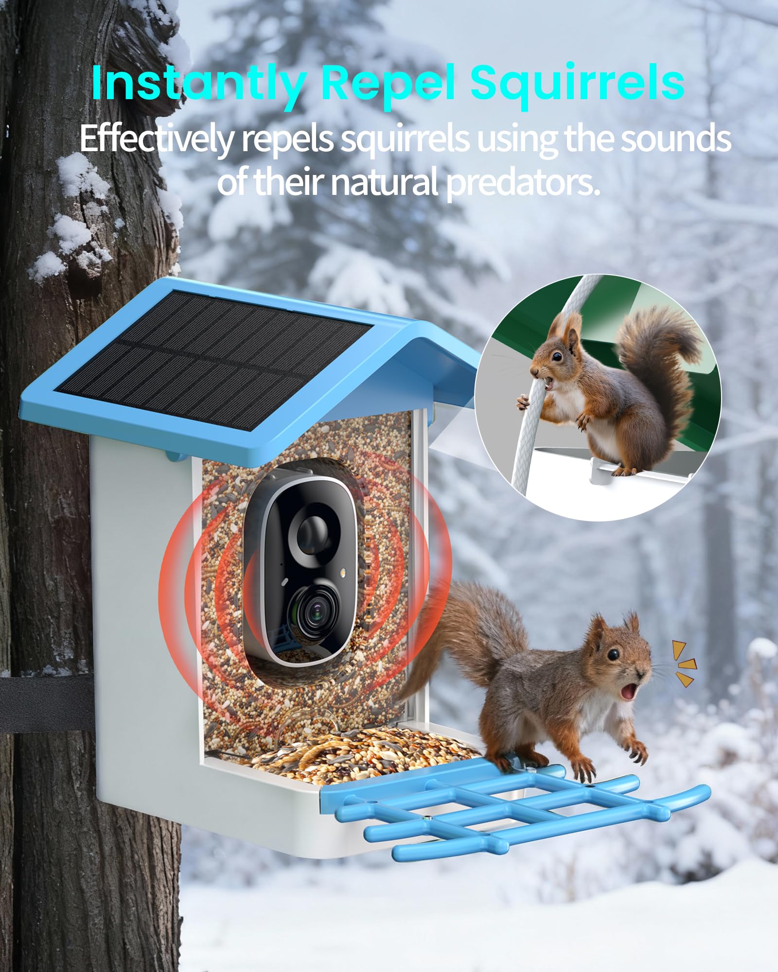 isyoung smart bird feeder ip65-waterproof ensures durability in all weather