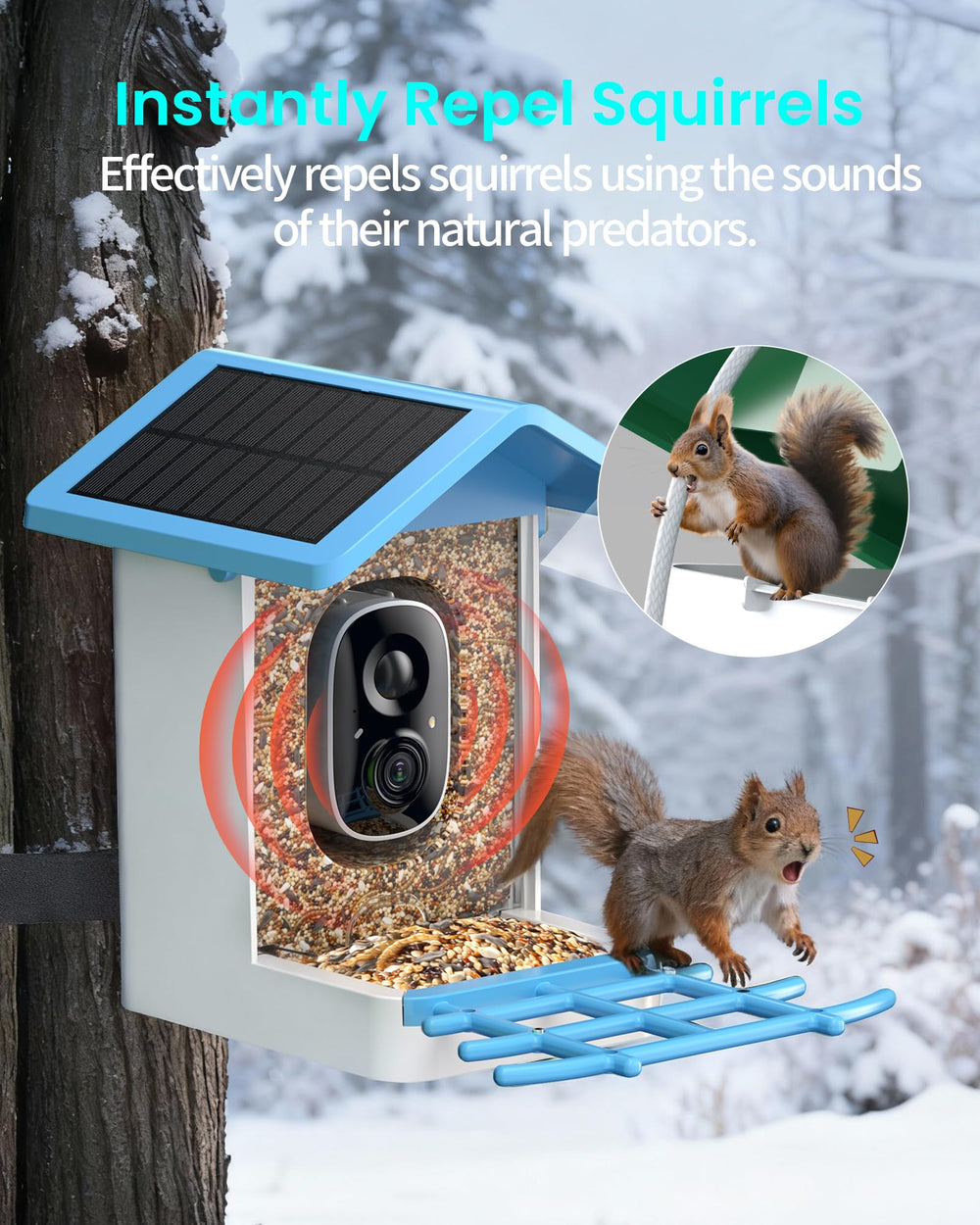 isyoung smart bird feeder ip65-waterproof ensures durability in all weather