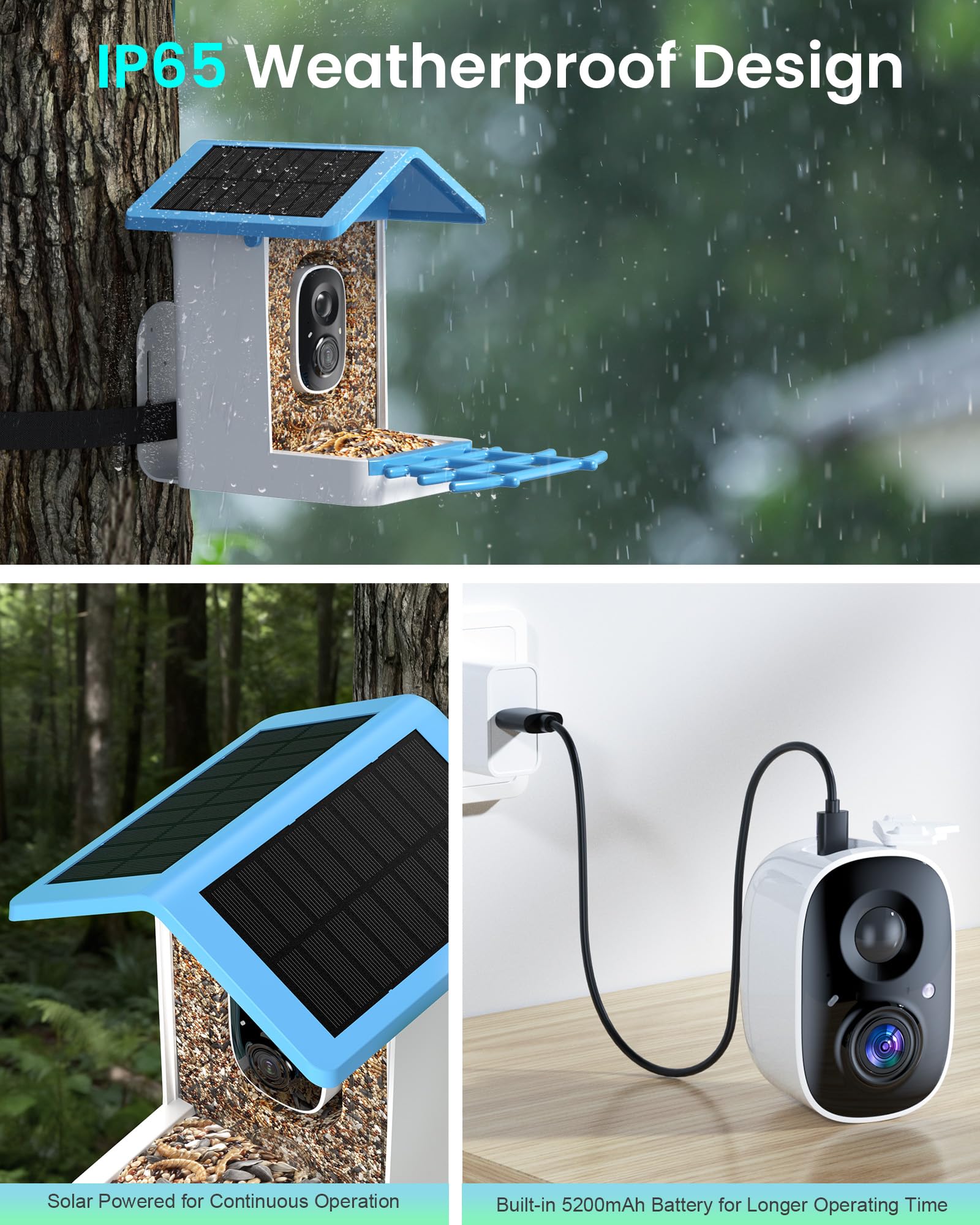 isyoung smart bird feeder solar-panel design powers off-grid viewing and eco-friendly operation