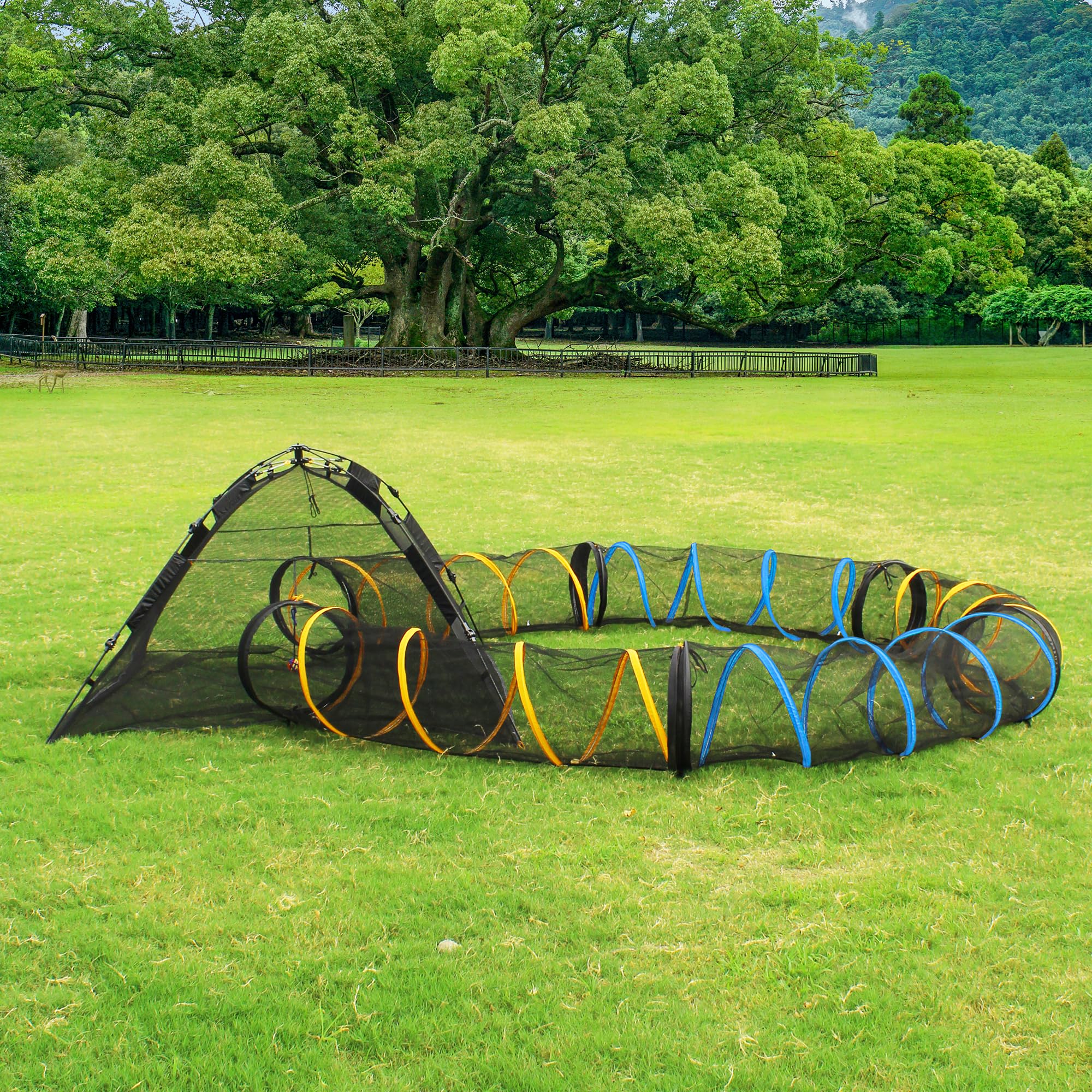ITENT cat play tunnel mesh interior view highlights visibility during play.