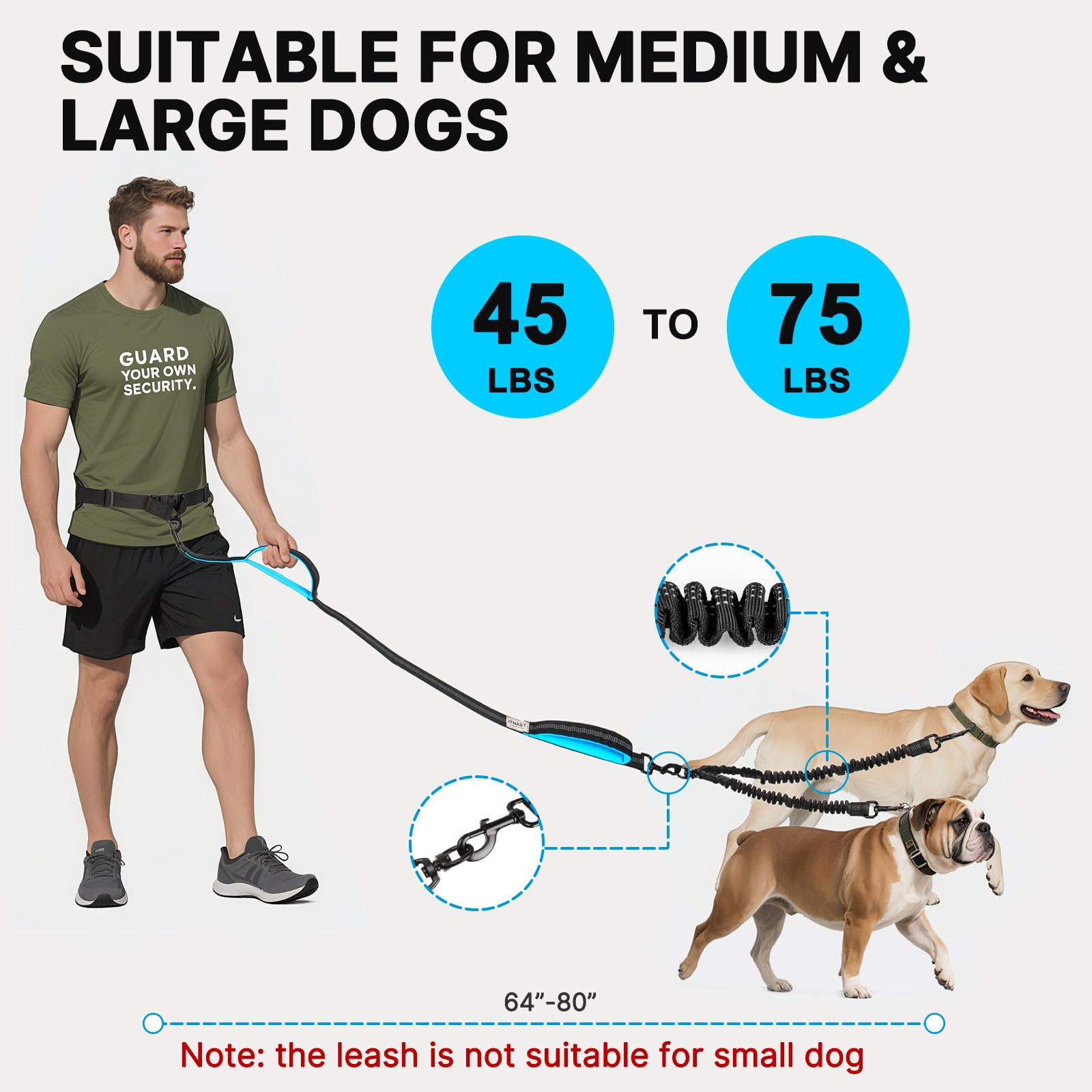 ITNAST bungee-dog-leash-dynamics reduces shock during runs for smoother movement