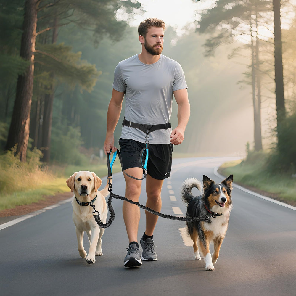 ITNAST dual-dog no-tangle 360-swivel prevents leash twist during active strolls