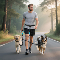 ITNAST dual-dog no-tangle 360-swivel prevents leash twist during active strolls