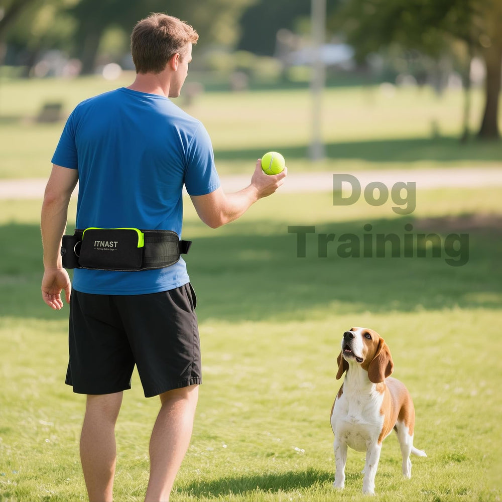 ITNAST hands free leash padded strap comfort reduces fatigue during runs