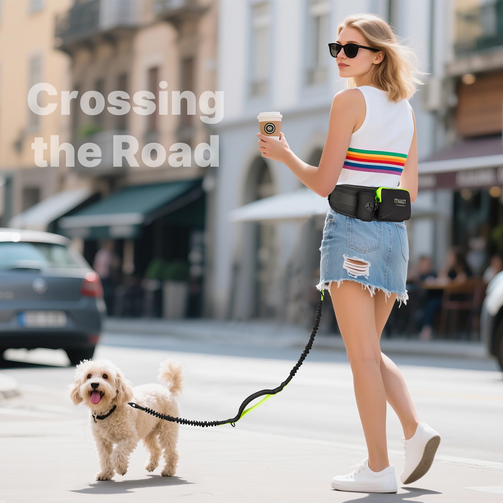 ITNAST hands free leash quick-control design aids fast responses on trails
