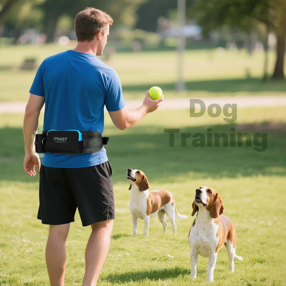 ITNAST padded ergonomic lumbar-support belt cushions the back on long walks