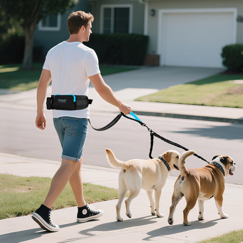 ITNAST utility-belt-with-storage for treats, bags, phone, and keys at hand