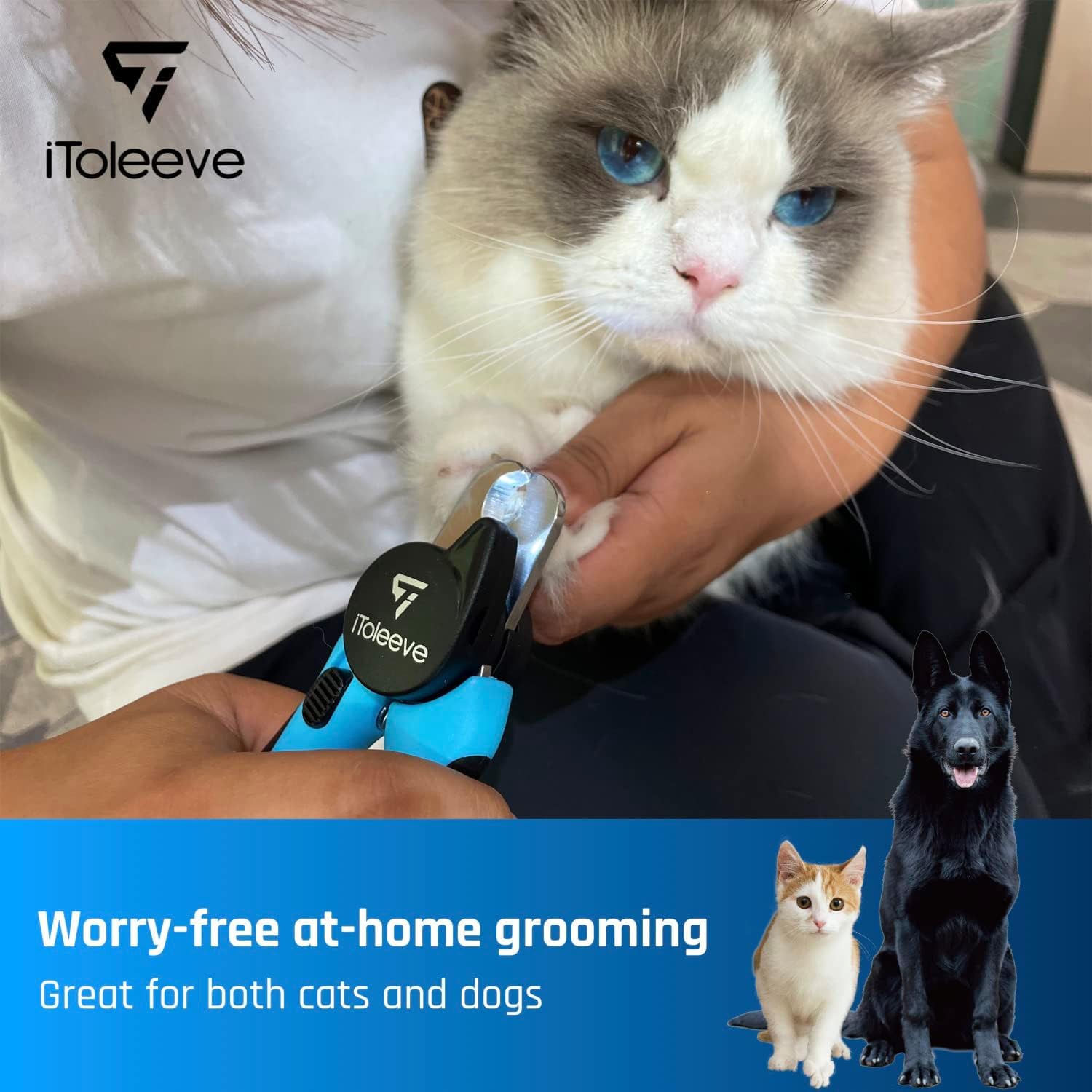 iToleeve LED dog nail clipper packaging-ready box for gifting.