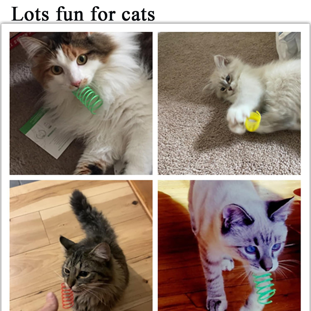 itPlus Cat Spring Toy interactive set provides varied textures and colors for endless indoor fun.