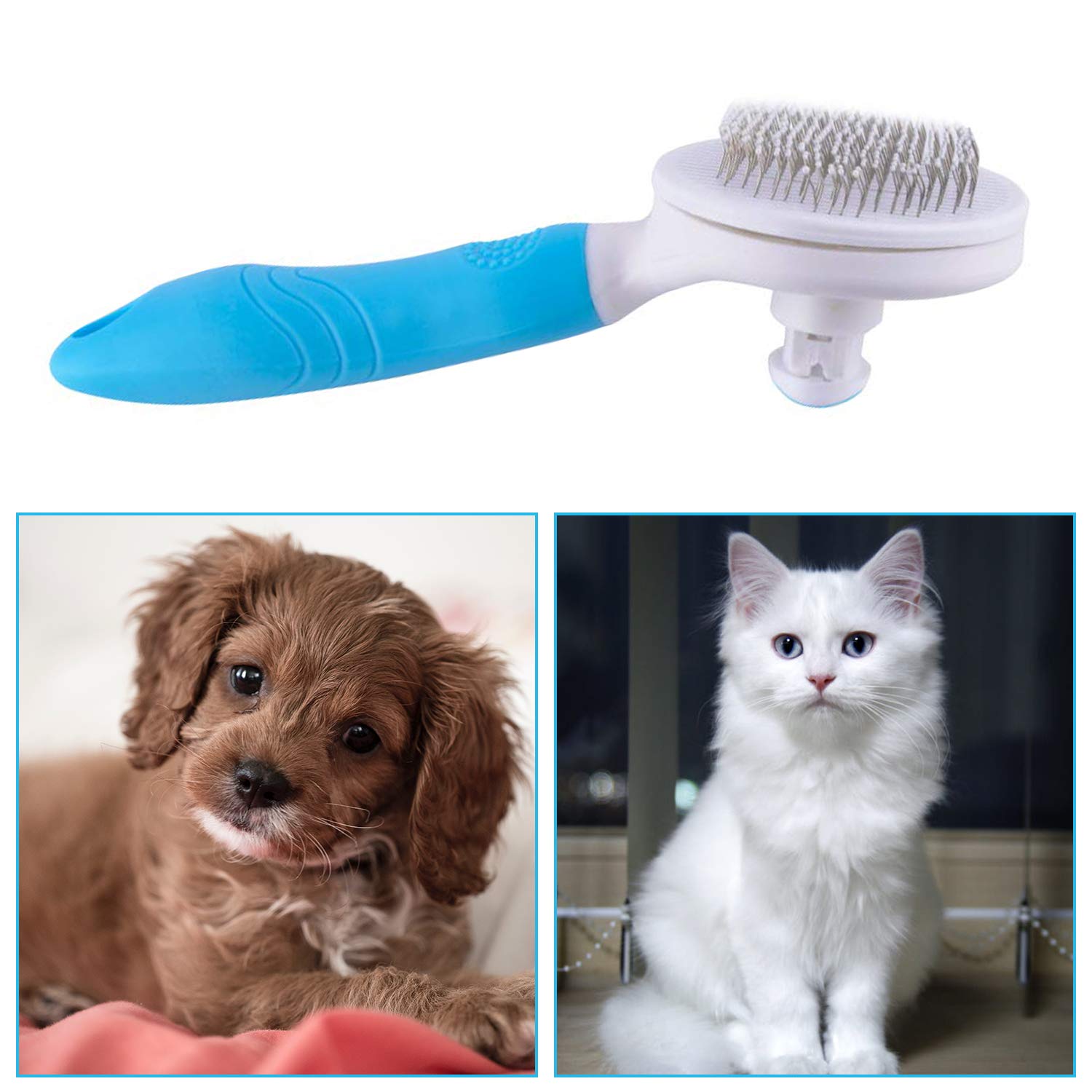 itPlus pet grooming massage brush improves circulation during brushing