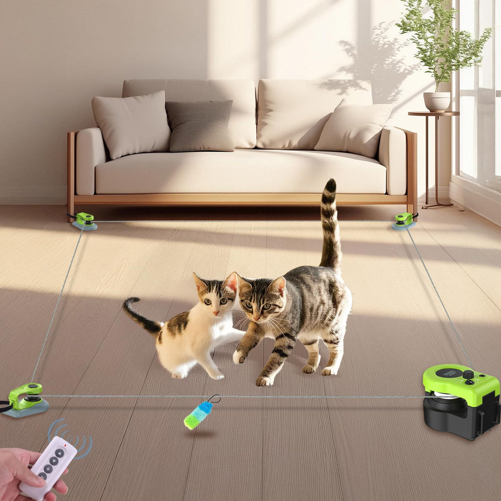 ITSHINY interactive cat toy in green boosts curiosity and activity during play.