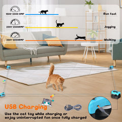 ITSHINY cat toy built-safe and durable for kittens and adults during play