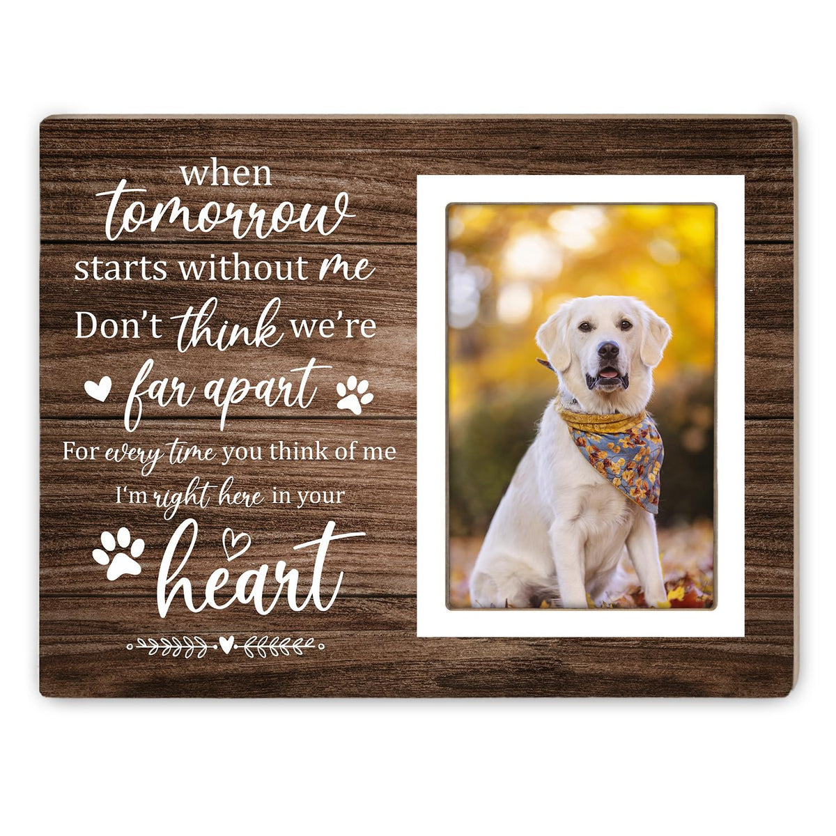 Itsoly Pet Memorial Frame front view—timeless keepsake for cherished photos