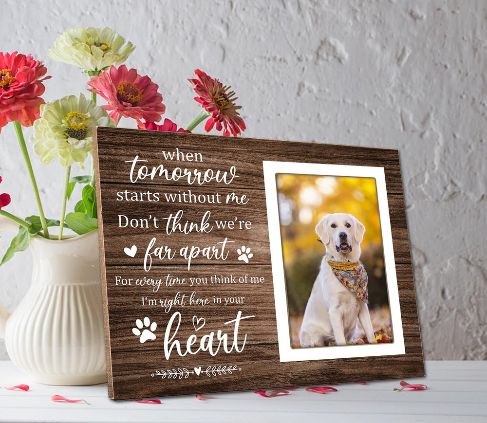 Itsoly Pet Memorial Frame wall-mount clips—flexible wall display options