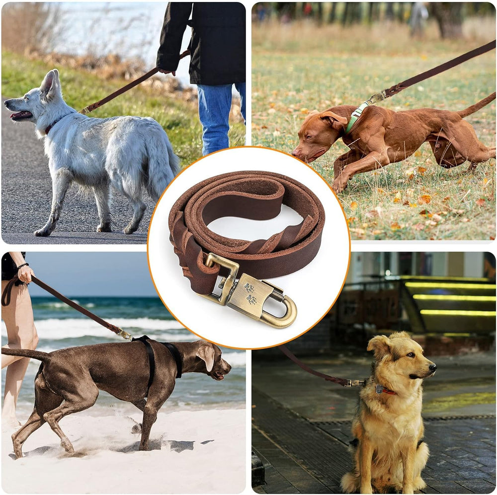 ITSVOURY leash in hand during dog walk demonstrates steady control.