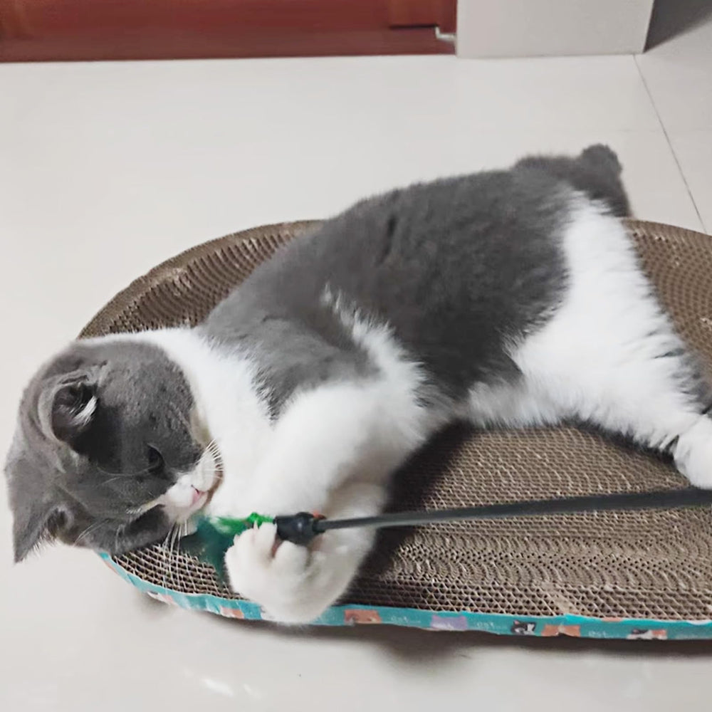 IUHKBH cat teaser wand playtime uses motion to encourage activity.