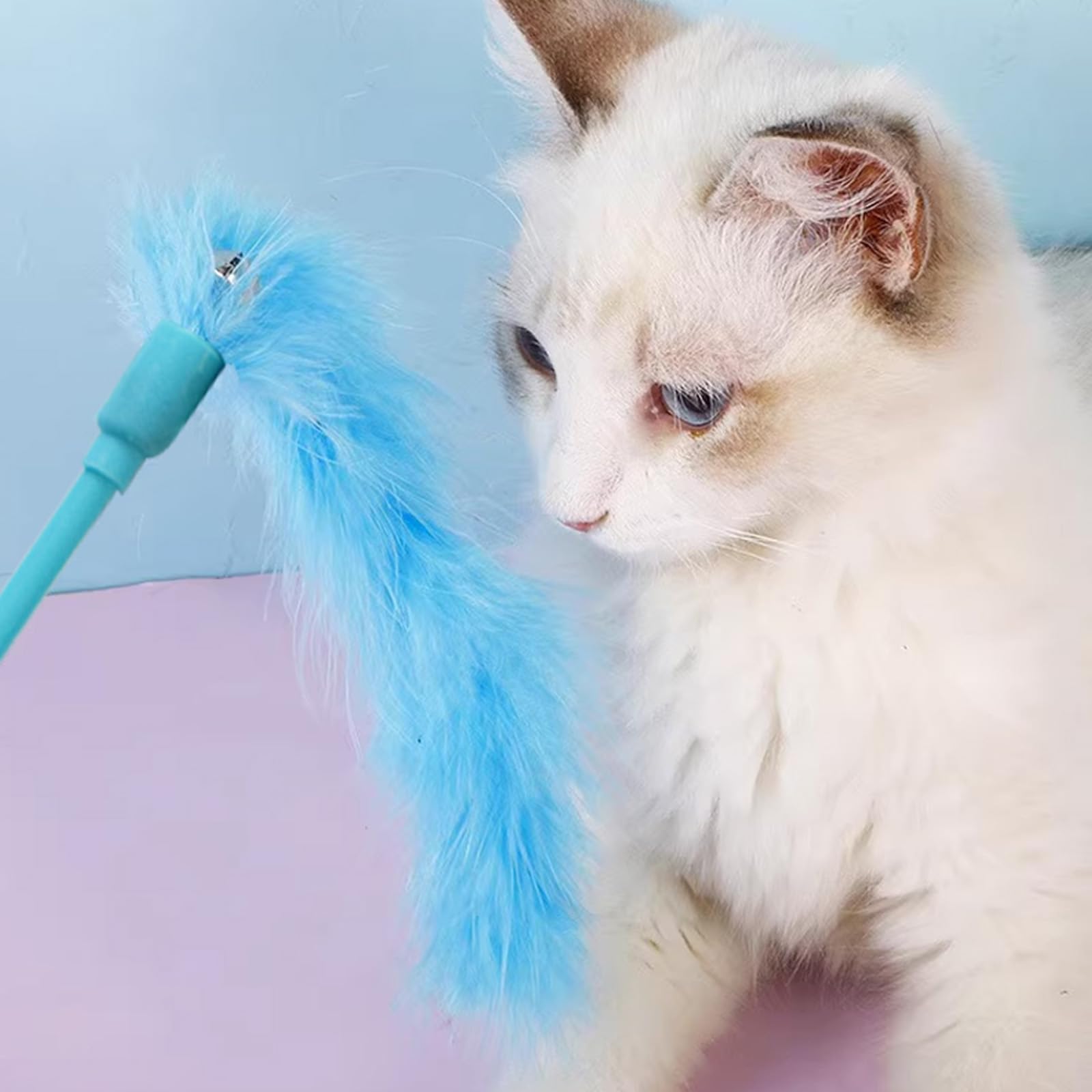 IUHKBH Cat Wand Toys in-use demonstration for active chase sessions.