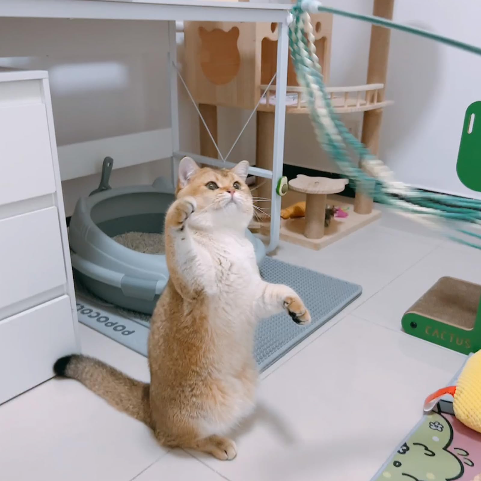 IUHKBH cat wand toy bell adds audible cue for chasing behavior.