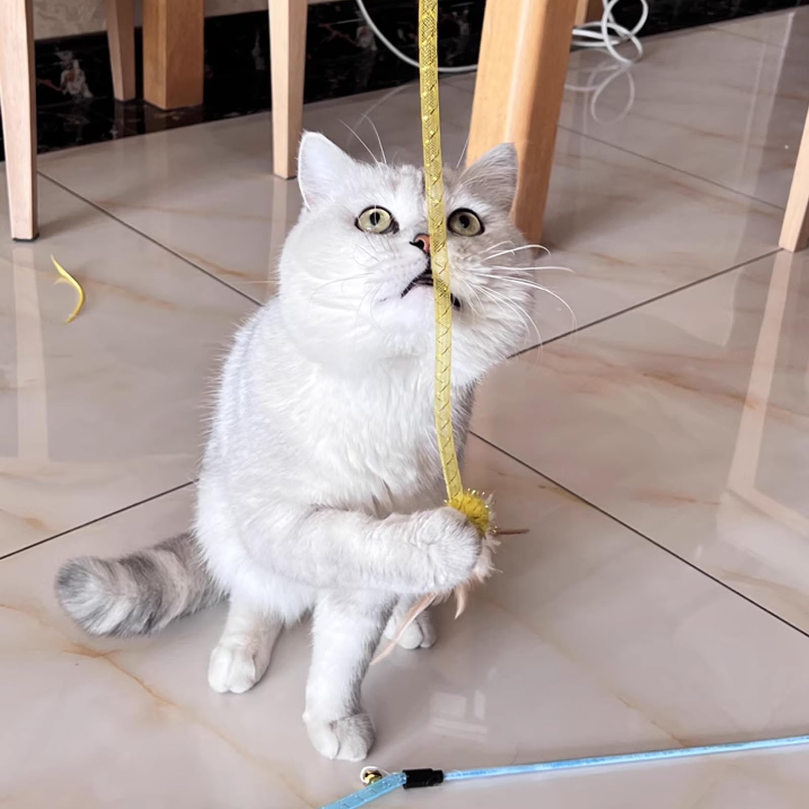 IUHKBH Cat Wands indoor play setup supports solo moments