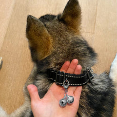 IVIA PET cat bell closeup with crisp copper sound for clearer alerts
