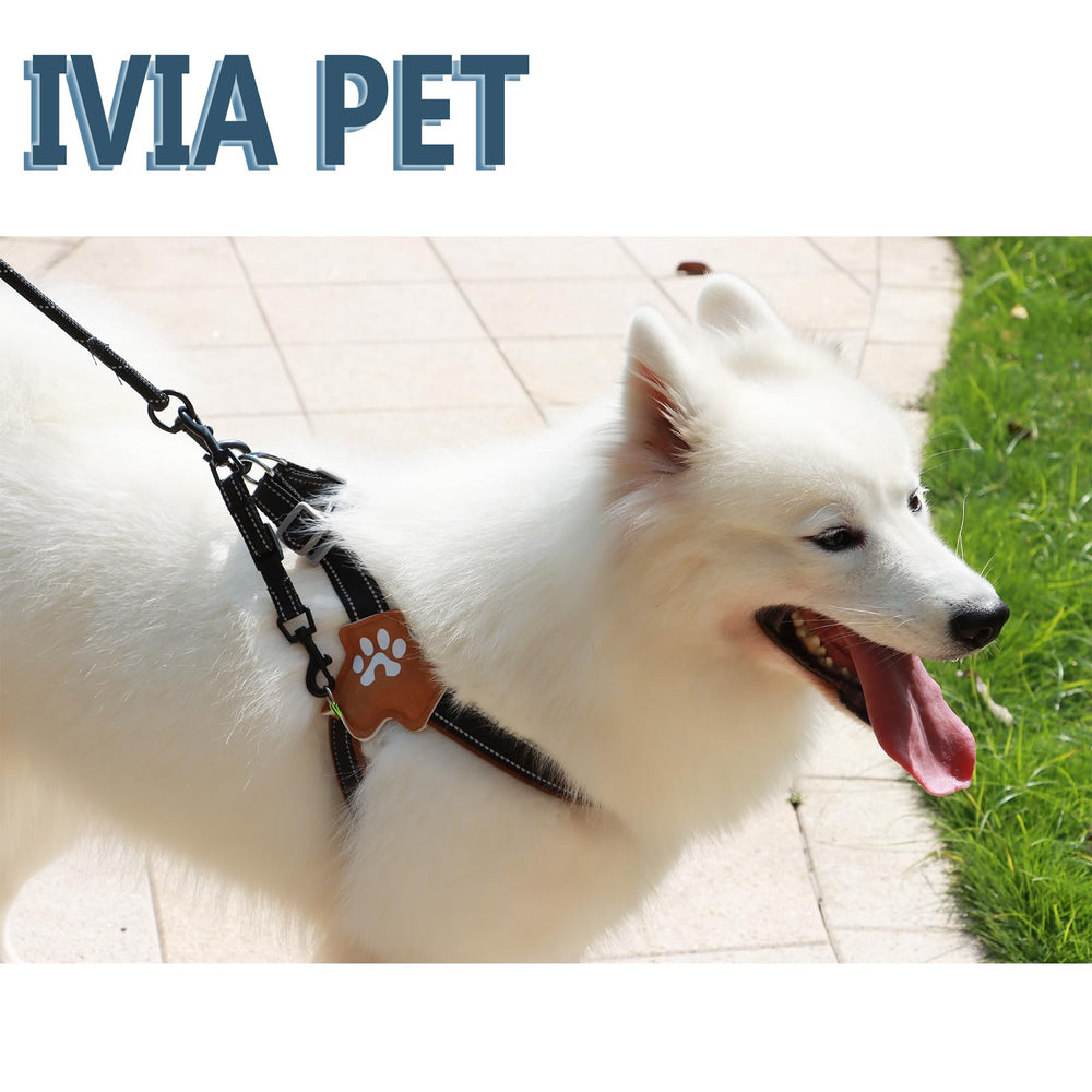 IVIA PET collar connector fits harnesses and various collars for reliable daily use