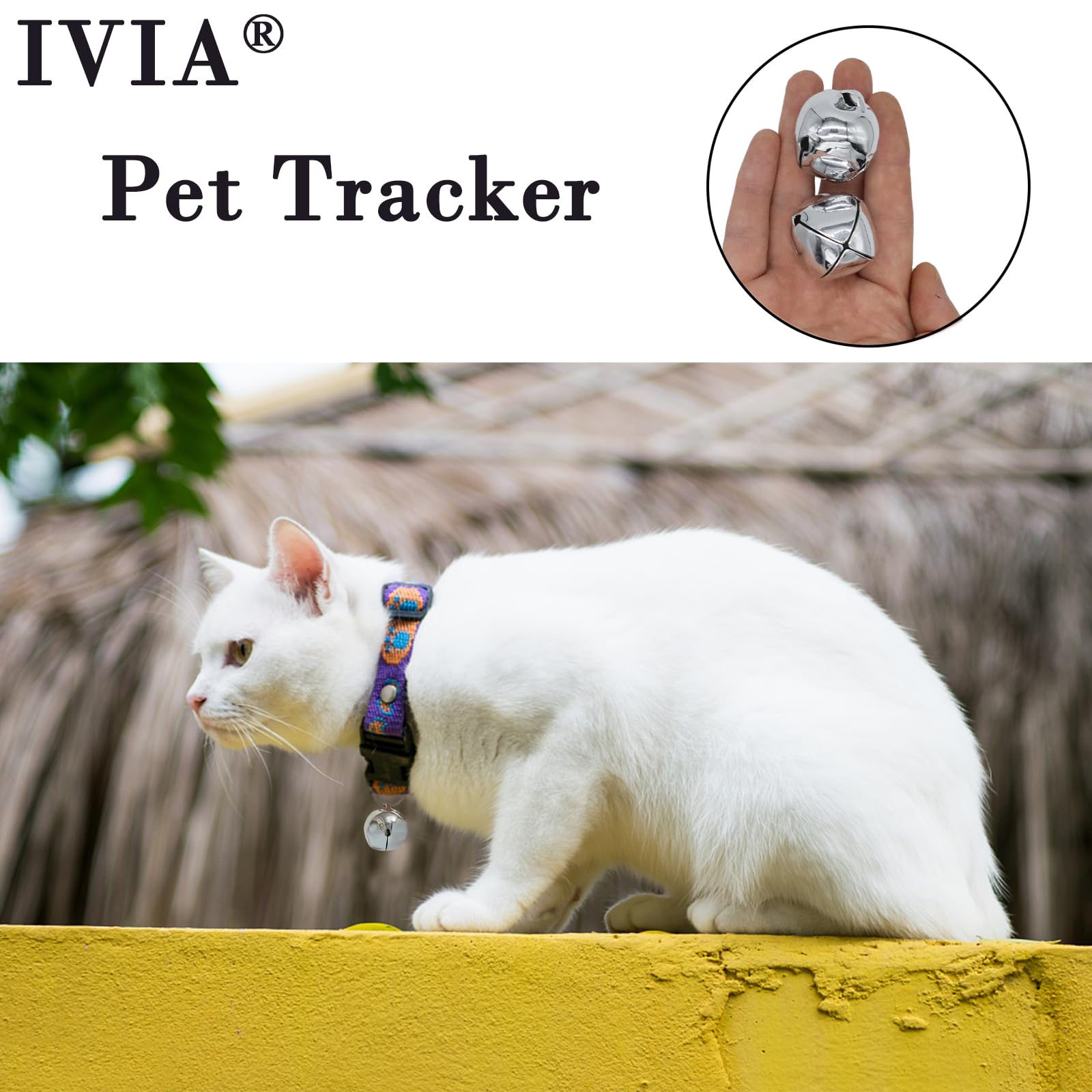 IVIA PET large dog bells festival scene shows festive ambiance and training cue.