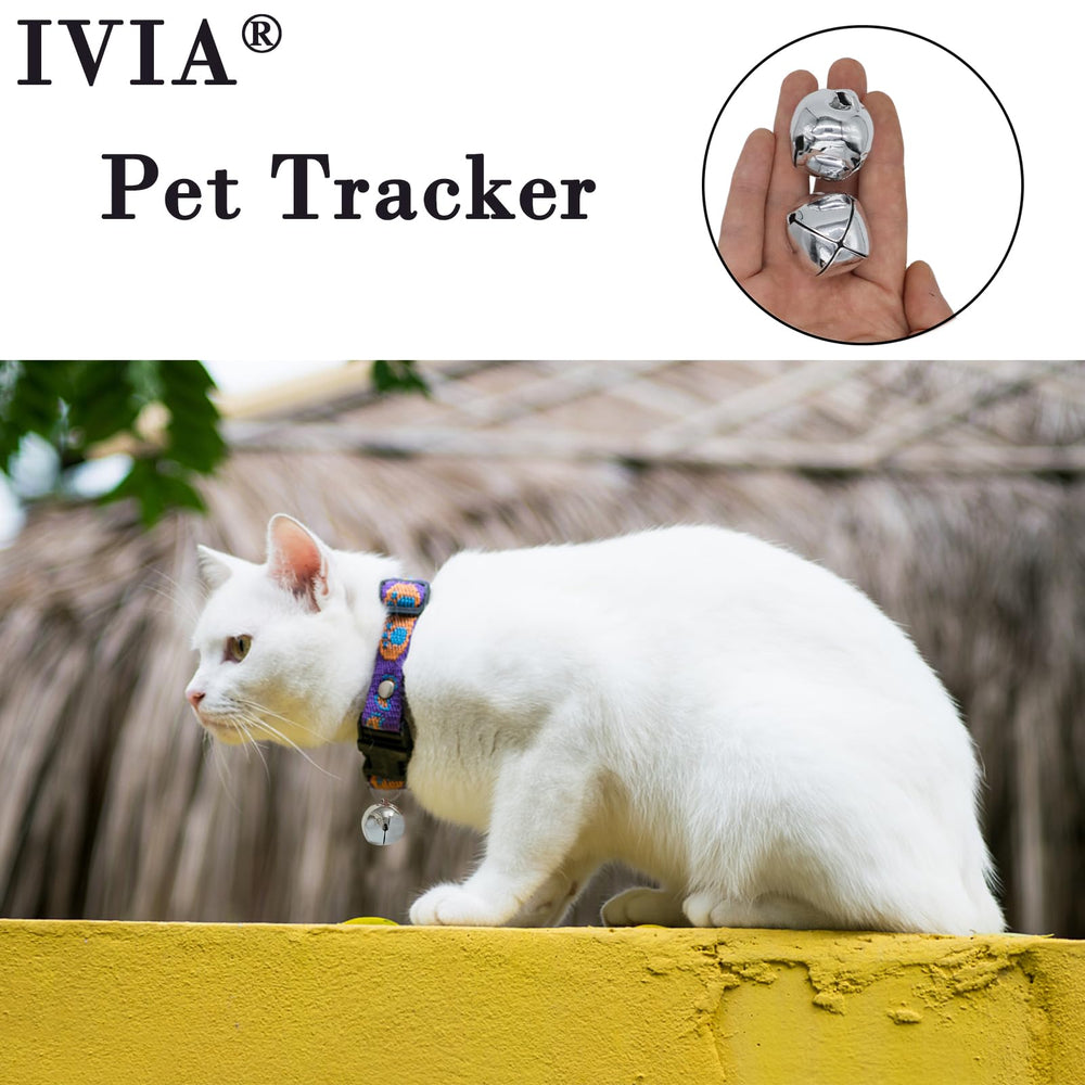 IVIA PET large dog bells festival scene shows festive ambiance and training cue.