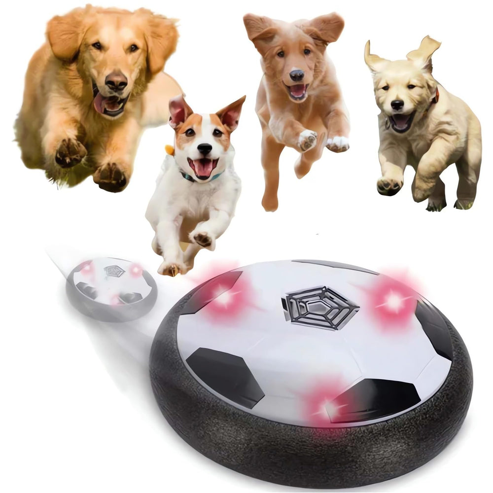 Ivieicip Active Gliding Disc light-up in action for indoor dog play