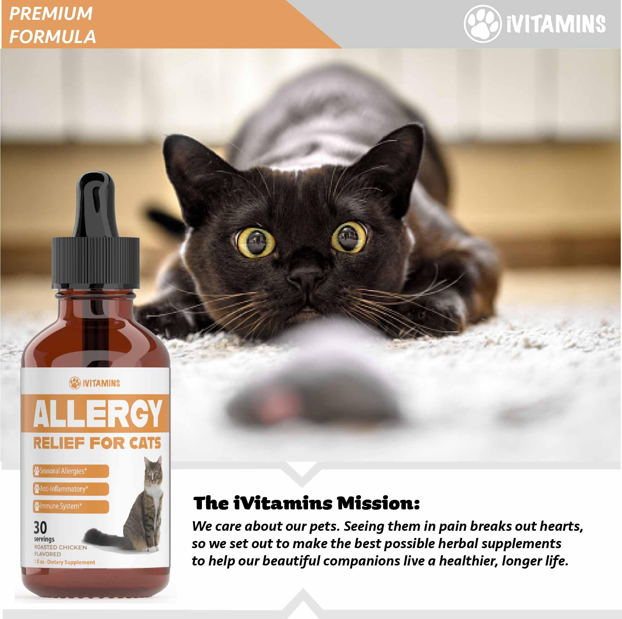iVitamins Allergy Relief for Cats cat relaxing after tincture, illustrating potential comfort in daily life