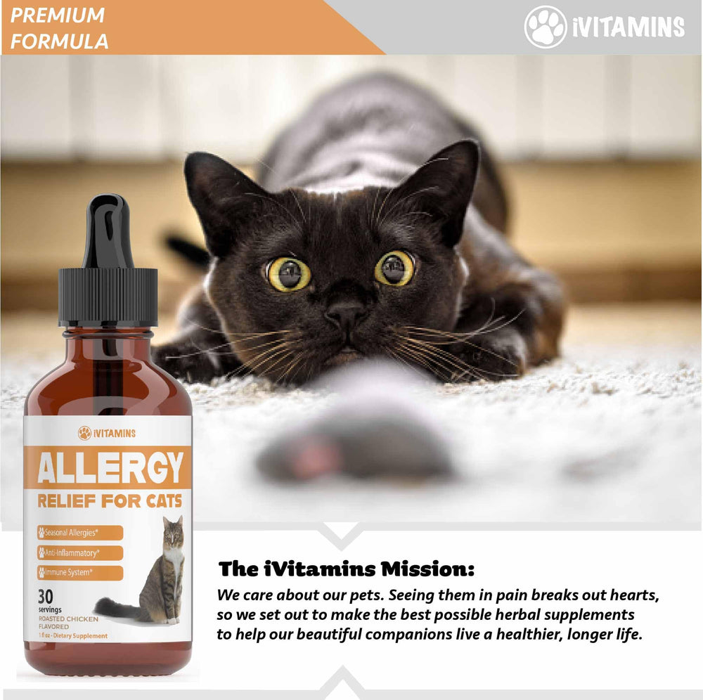 iVitamins Allergy Relief for Cats cat relaxing after tincture, illustrating potential comfort in daily life