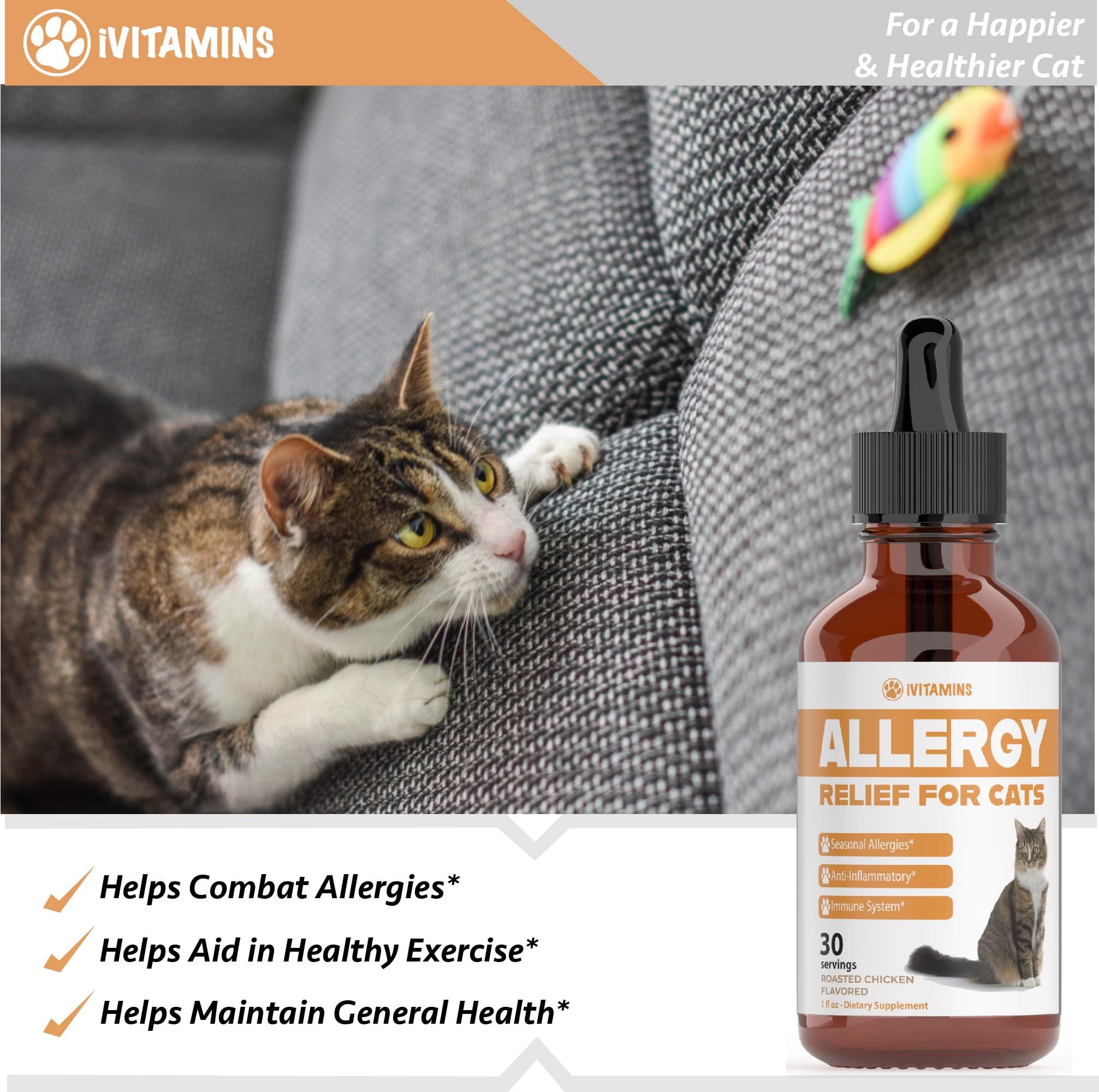 iVitamins Allergy Relief for Cats dosing scene highlights quick absorption through liquid form
