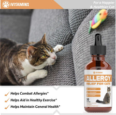 iVitamins Allergy Relief for Cats dosing scene highlights quick absorption through liquid form